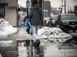 Polar vortex collapse? Not likely for Ottawa, says Environment Canada