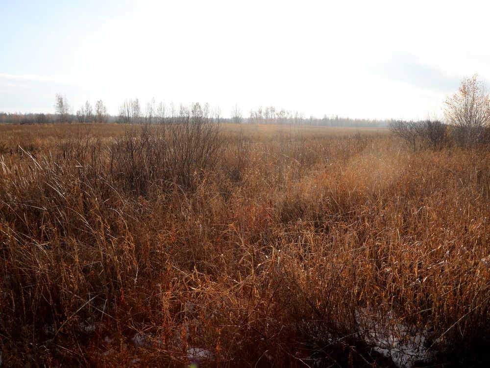 City shares few details as it proceeds with bid for east Ottawa landfill