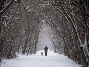 Snowfall coming to Ottawa Wednesday morning