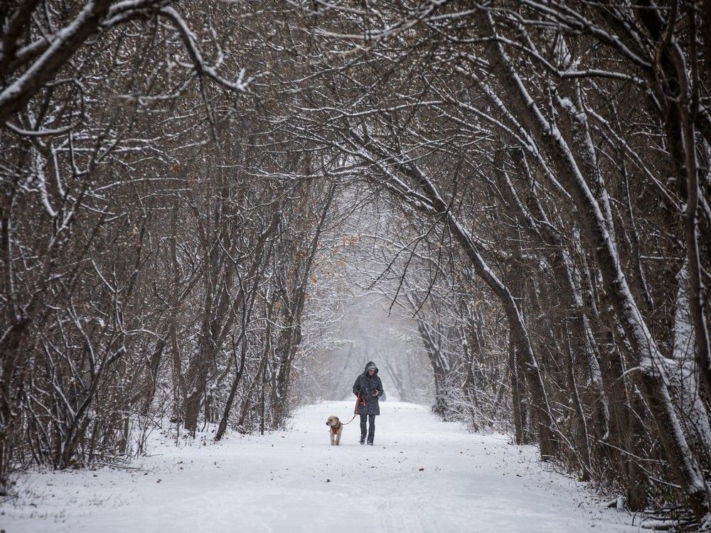 Snowfall coming to Ottawa Wednesday morning