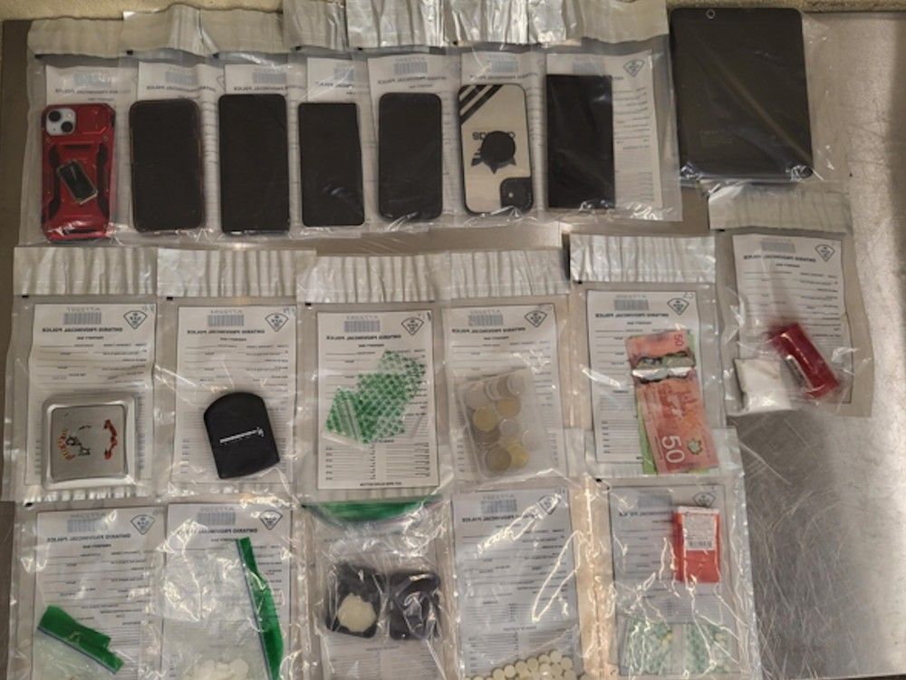 Seven arrested in Pembroke drug sweep