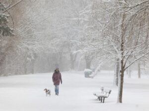 <div>Deachman: Ottawa’s snow removal standards are bad, with no plans on getting better</div>