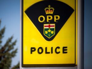 Scarborough man charged with 2024 sex offences in Lanark County