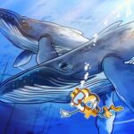 <div>Whale’s $9B Bitcoin sale was not due to quantum concerns: Galaxy Digital</div>